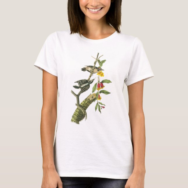 Flaumiger Specht durch Audubon T-Shirt (Vorderseite)
