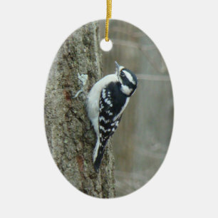 Flaumiger Specht-Mann u. weibliche Verzierung Keramik Ornament