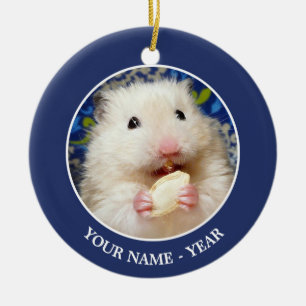 Flaumiger syrischer Hamster Kokolinka, das einen Keramikornament