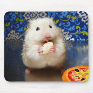 Flaumiger syrischer Hamster Kokolinka, das einen Mousepad