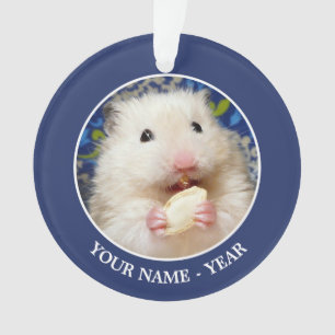 Flaumiger syrischer Hamster Kokolinka, das einen Ornament