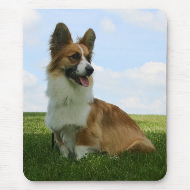 Flaumiger Wolljacken-WaliserCorgi Mousepad (Vorne)