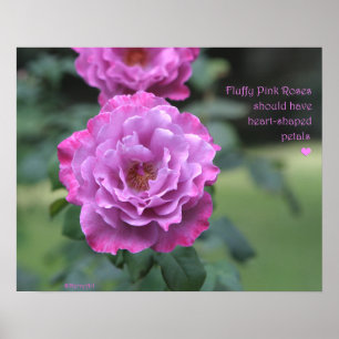 Flaumiges rosa Rosen-Plakat: ROSE u. PROSA 20x16 Poster