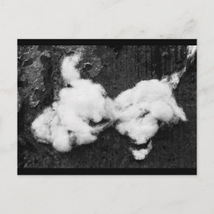 Flauschig Urlaub Postkarte