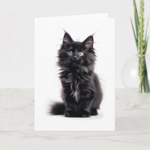 Flauschige schwarze Langhaarkatze Blanko-Grußkarte Karte