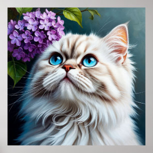 Flauschige weiße Katze mit blauen Augen Poster