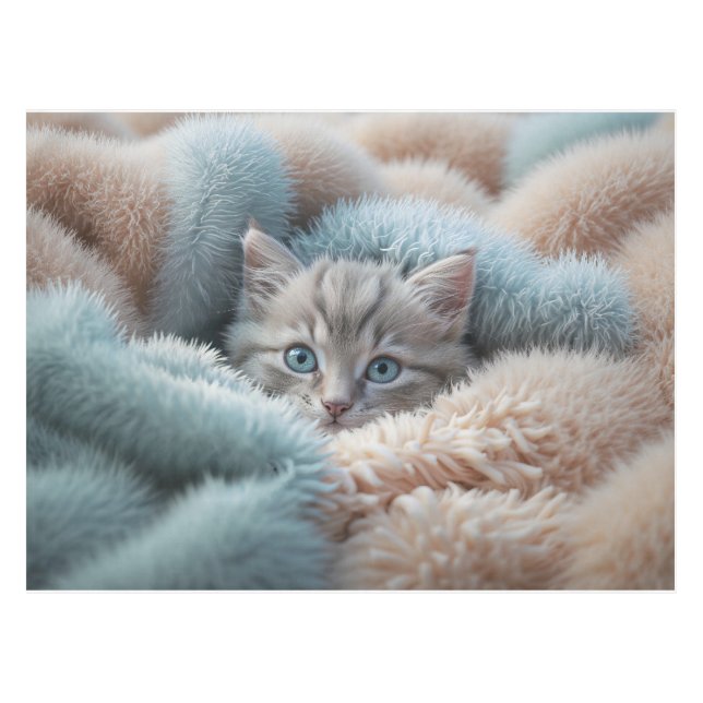 Flauschiges Kätzchen in einer weichen Decke (Vorderseite (Horizontal))