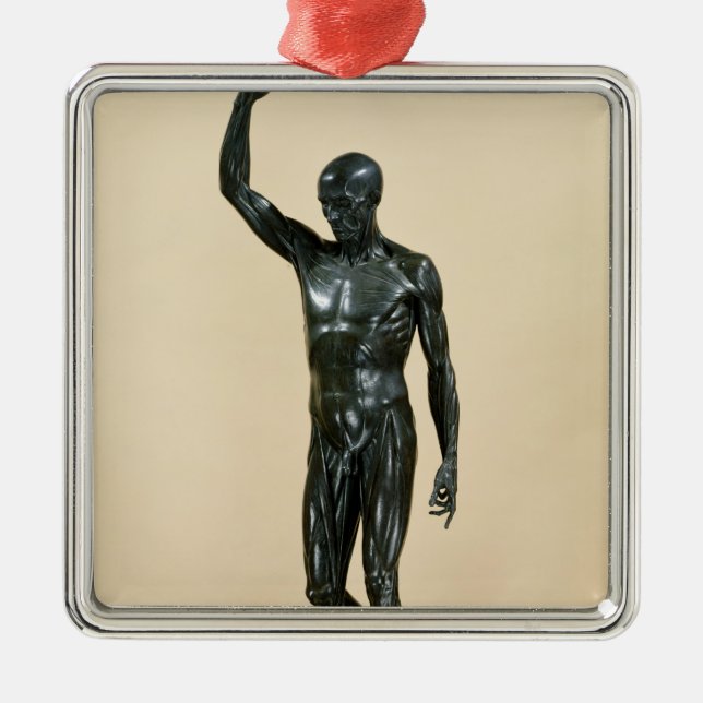 Flayed Körper Silbernes Ornament (Vorne)