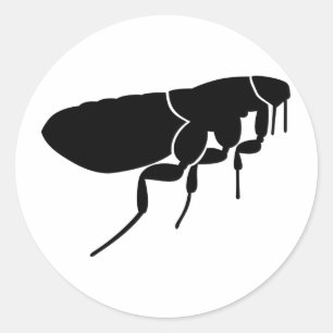 Flea Runder Aufkleber
