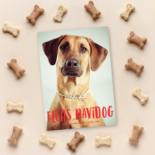 Fleas Navidog Niedlich Funny Dog   FOTO Feiertagskarte