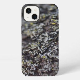 Flechte auf Baumrinde iPhone Hülle
