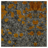 Flechte auf Granit-Fotogewebe