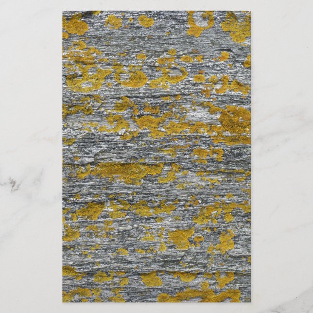 Flechten auf Granit Briefpapier (Vorderseite)