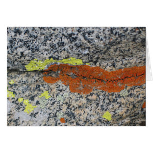 Flechten, Mammutbaum-Nationalpark