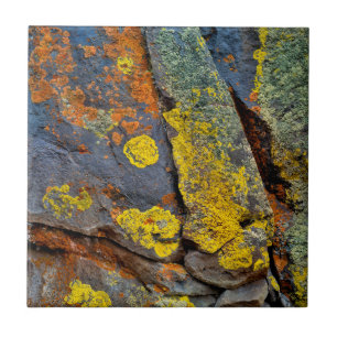 Flechtenbedeckte Felsen Fliese