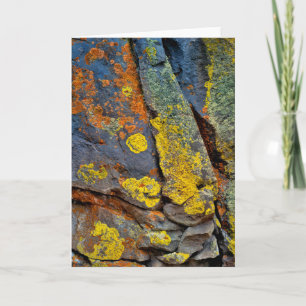 Flechtenbedeckte Felsen Karte
