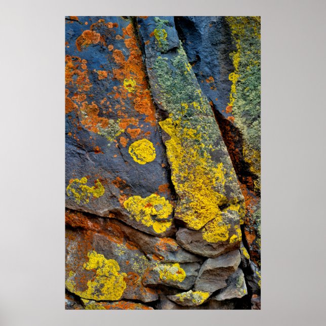 Flechtenbedeckte Felsen Poster (Vorne)
