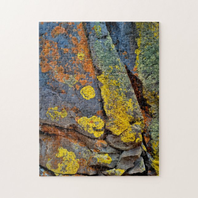 Flechtenbedeckte Felsen Puzzle (Vertikal)