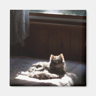 Fleck- Magnet
