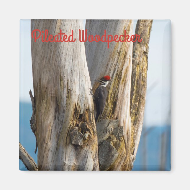 Flecker Magnet (Vorne)