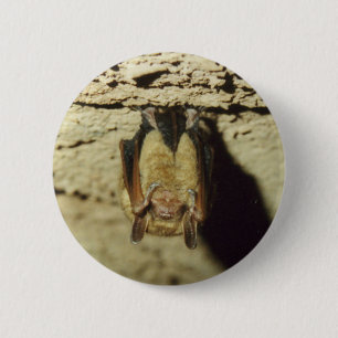Fledermaus Button