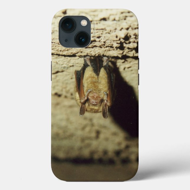 Fledermaus Case-Mate iPhone Hülle (Rückseite)