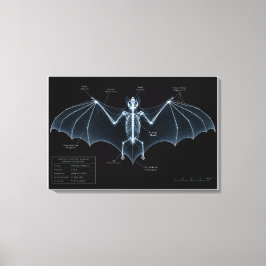 Fledermaus-Skelett-Röntgen-Museumspräparat Leinwanddruck
