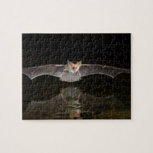Fledermaus trinkt im Flug, Arizona Puzzle