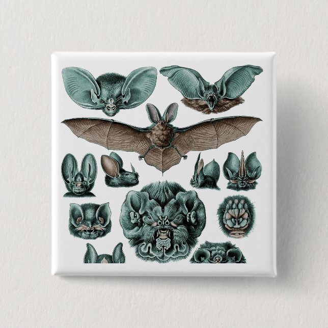 Fledermäuse Chiroptera Plate 67 Button (Vorderseite)