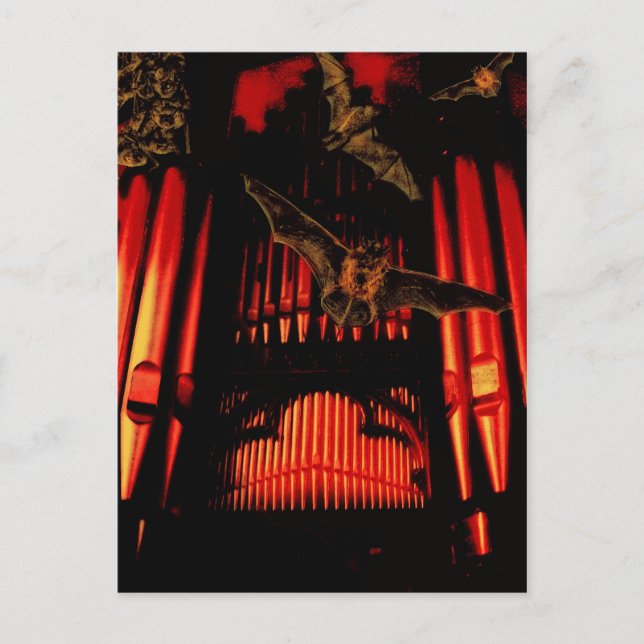 Fledermäuse Postkarte (Vorderseite)