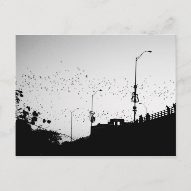 Fledermäuse über Austin Postkarte (Vorderseite)