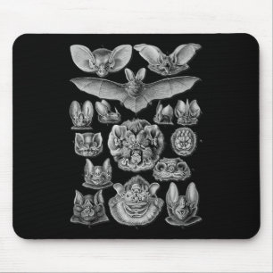 Fledermäuse Wissenschaftliche Illustration Zeichne Mousepad