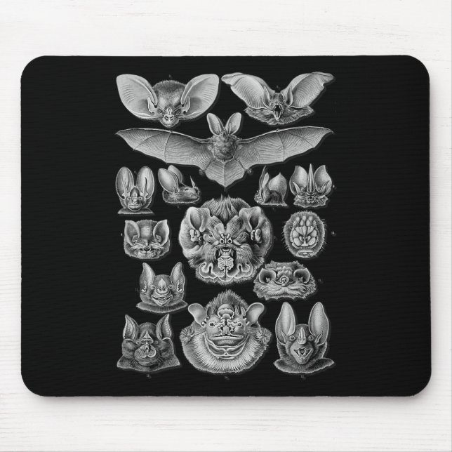 Fledermäuse Wissenschaftliche Illustration Zeichne Mousepad (Vorne)