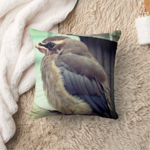 Fledgling Baby Cedar Waxwing Bird Kissen