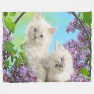 Fleece Blanket/Kätzchen