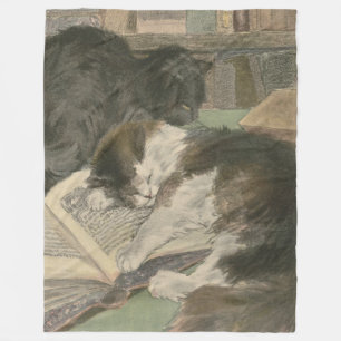 Fleece-Decke "Zwei Katzen in der Bibliothek" Fleecedecke