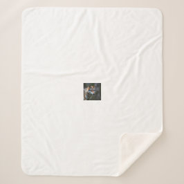 Fleece- und Sherpa-Decke Sherpadecke