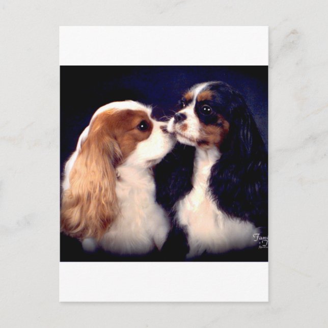 Fleet Street-Nova Tippy Postkarte (Vorderseite)