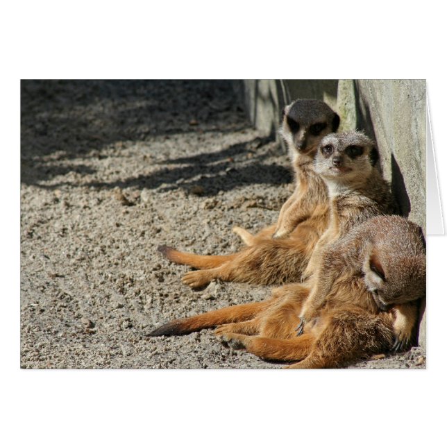 Fleisch, das ausgeht (Vorderseite (Horizontal))