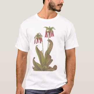 Fleisch fressende Pflanze - Sarracenia psittacina T-Shirt