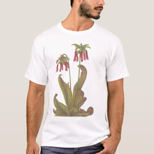 Fleisch fressende Pflanze - Sarracenia psittacina T-Shirt (Vorderseite)