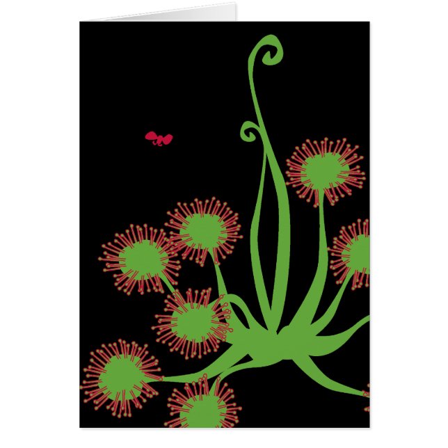 Fleisch fressende Sundew Pflanze (Vorne)