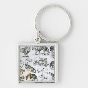 Fleisch fressende Tiere Schlüsselanhänger
