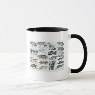 Fleisch fressende Tiere Tasse