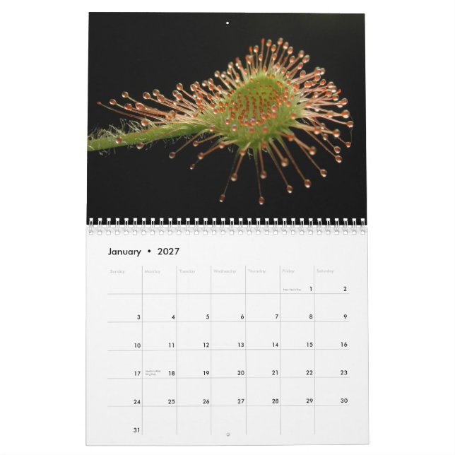 Fleisch fressender Pflanzen-Kalender Kalender (Jan 2027)