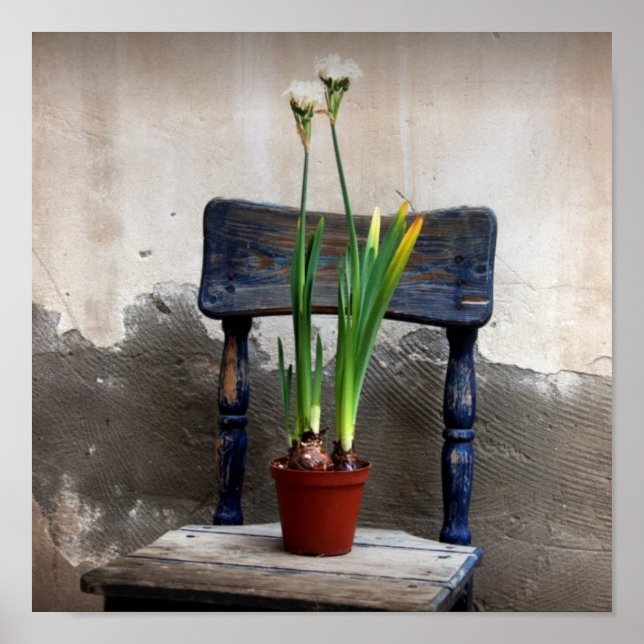 Fleisch und Flower Poster (Vorne)