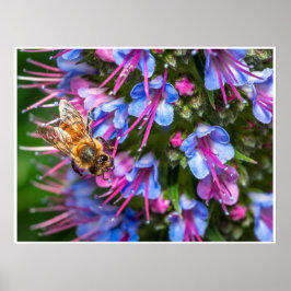 Fleißige Biene Poster