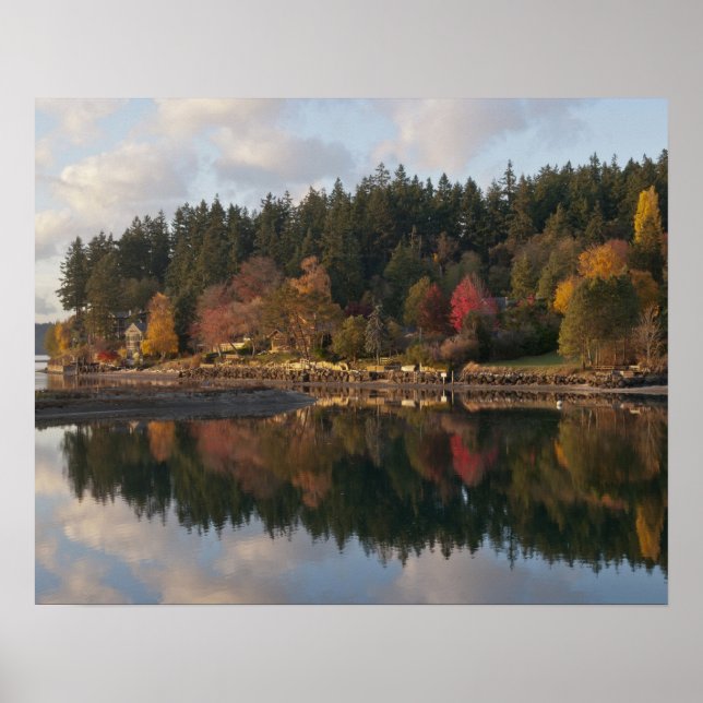 Fletcher Bay Poster (Vorne)