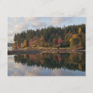 Fletcher Bay Postkarte