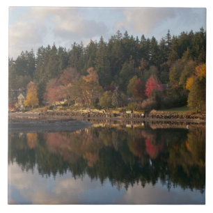 Fletcher-Bucht Fliese